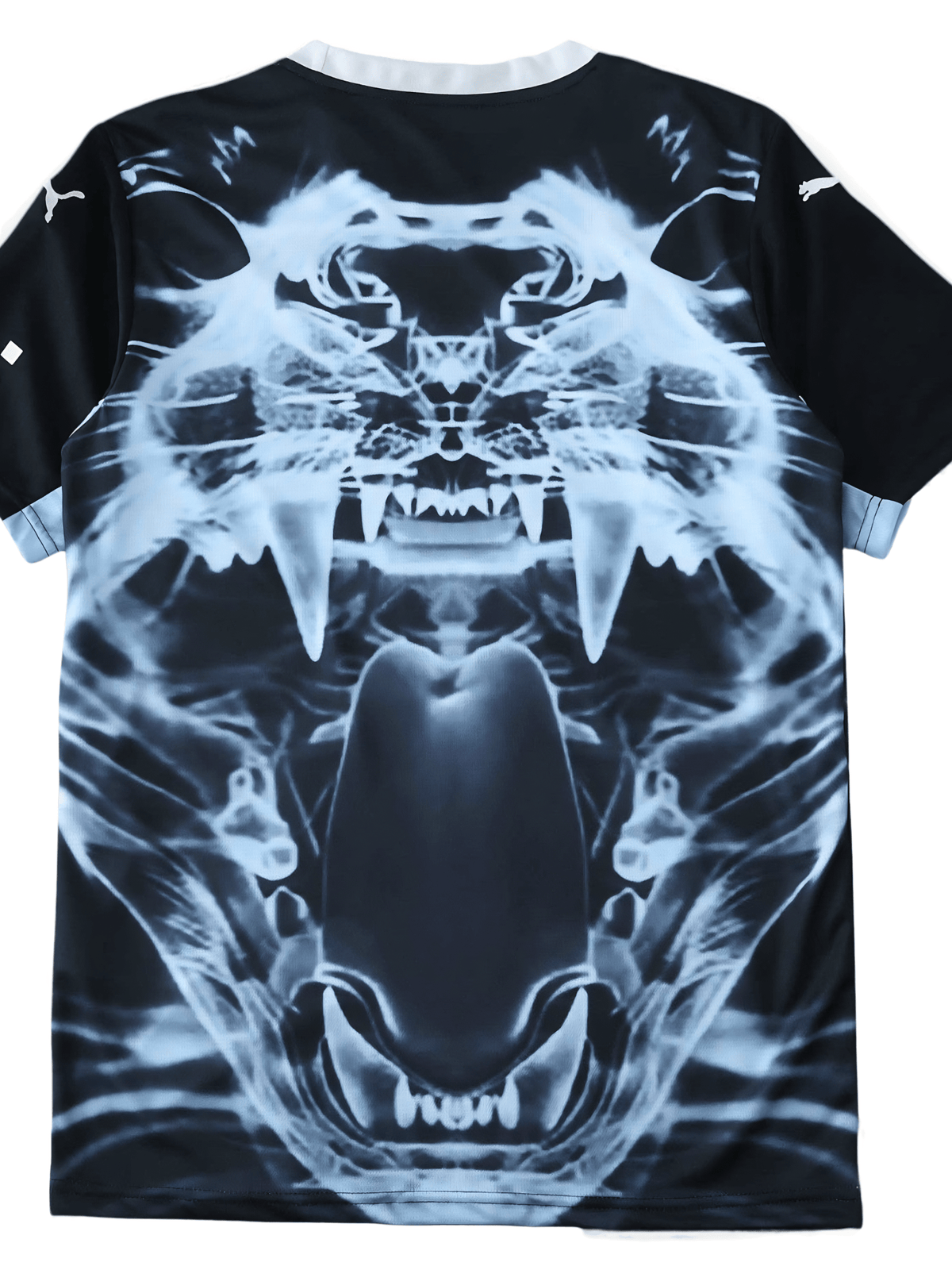 Jersey 25/26 Men's