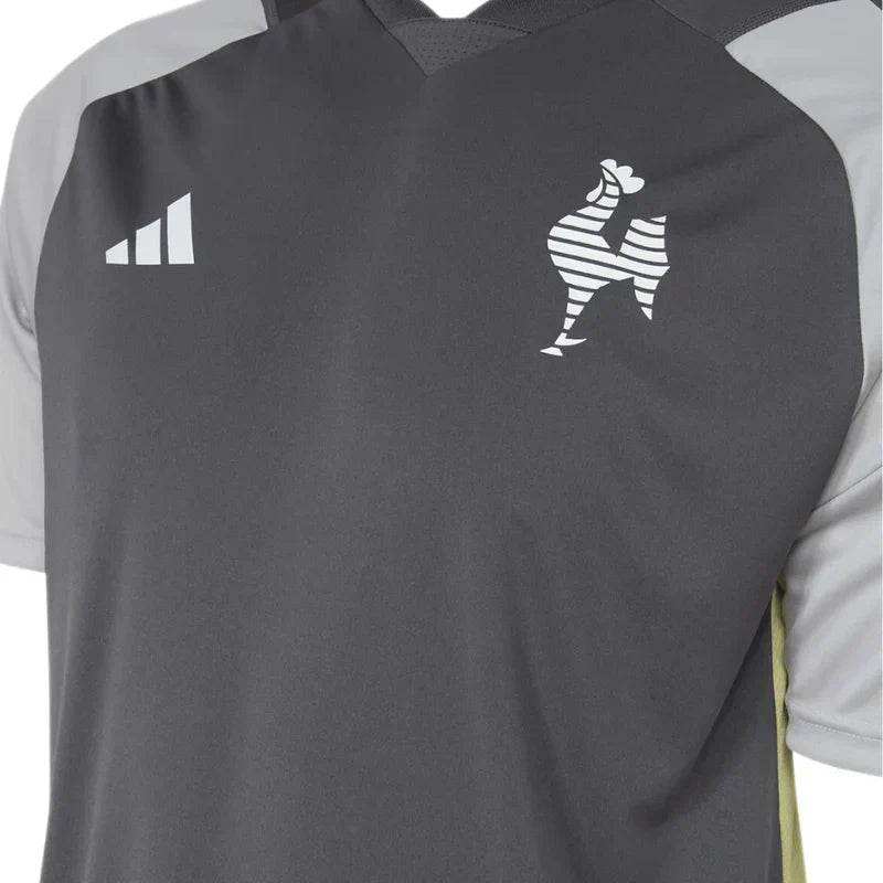 Atlético Mineiro Training Committee 2024